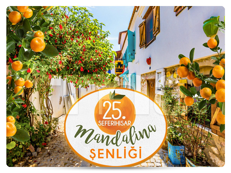 ''Seferihisar Mandalina Festivali Özel'' SEFERİHİSAR - SIĞACIK - TEOS